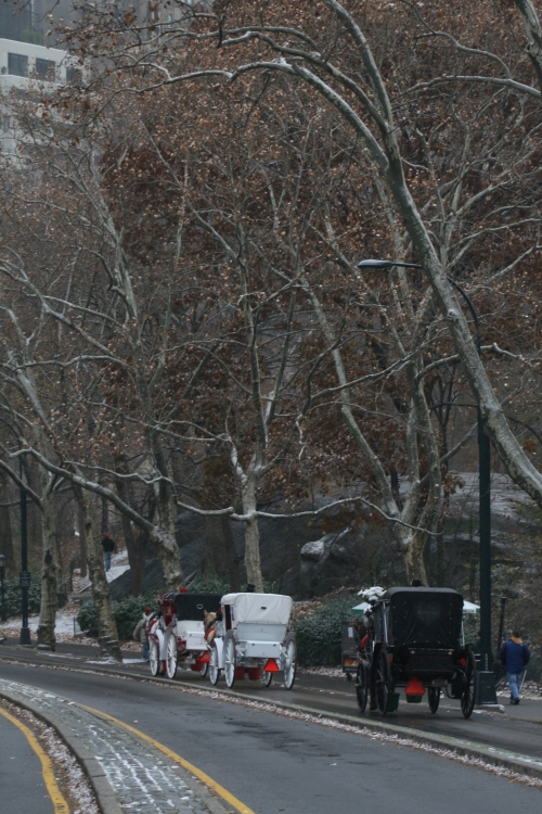 "Cola de carruajes en Central Park New York." de Francisco Luis Azpiroz Costa