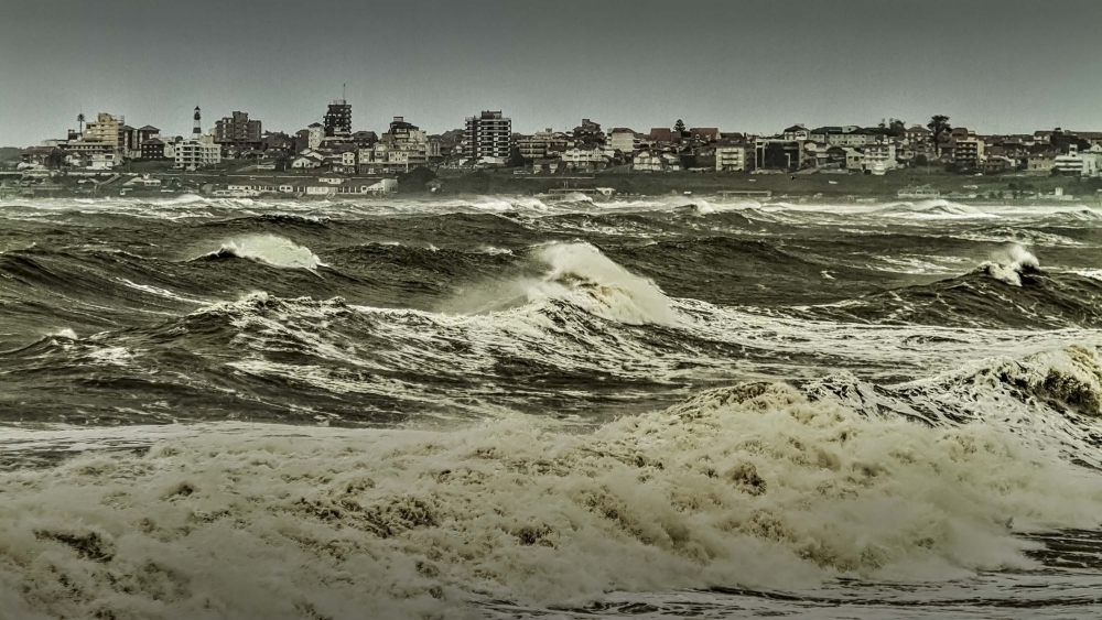 "Mar del Plata" de Carlos Gianoli