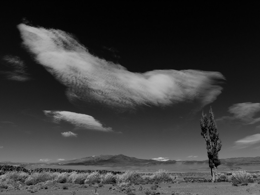 "acunando a la nube..." de Marcos Pedro Escudero