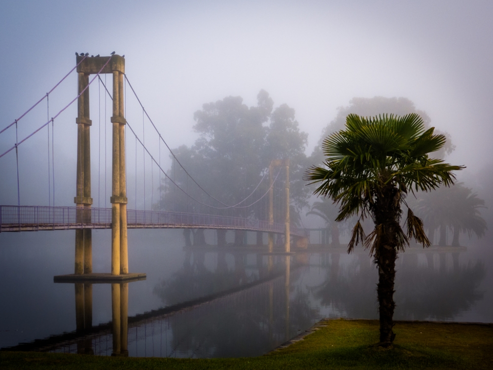 "El mismo puente, la misma niebla" de Fernando Valdez Vazquez