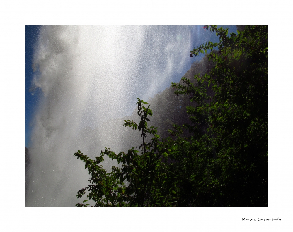 "Detrs de la cascada" de Marina Larramendy