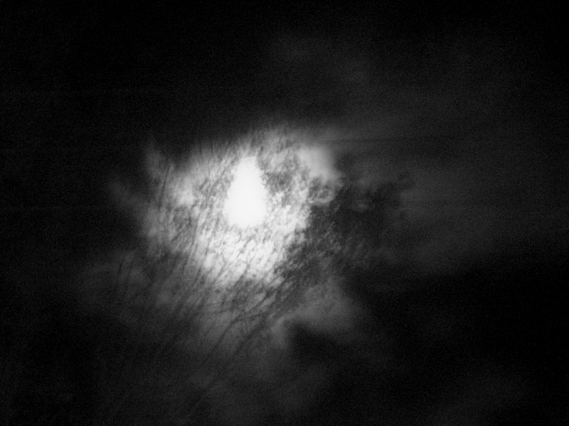 "la luna escondida.." de Alicia Tiziano