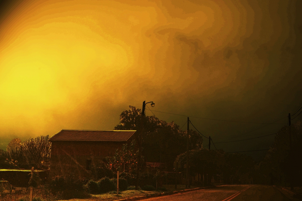 "La casa, el sol y la niebla que huye" de Mercedes Pasini