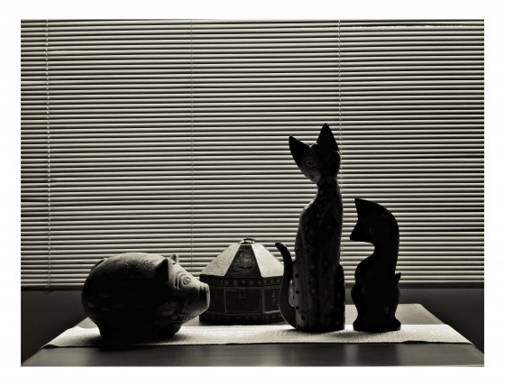 "Una mesita con un marrano,una cajita y dos gatos" de Ana Maria Walter