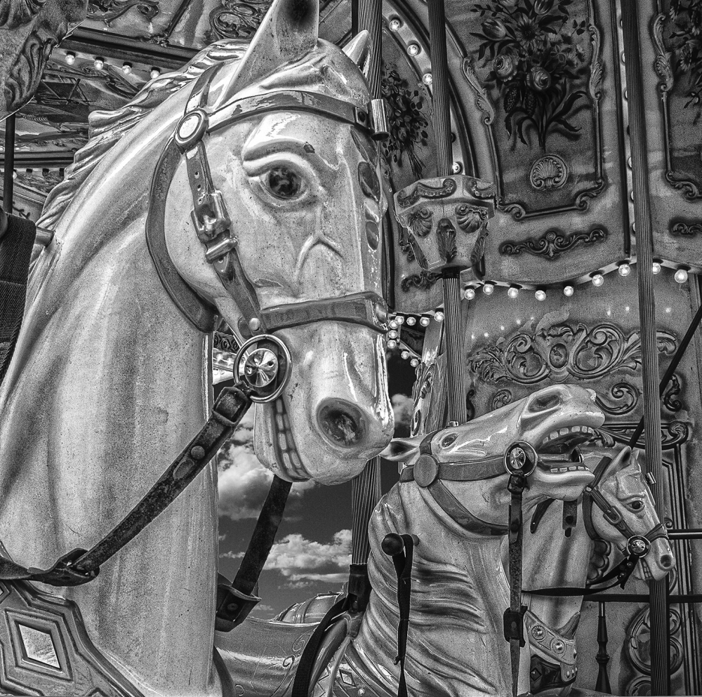 "Caballos de carrousel" de Gerardo Antonel
