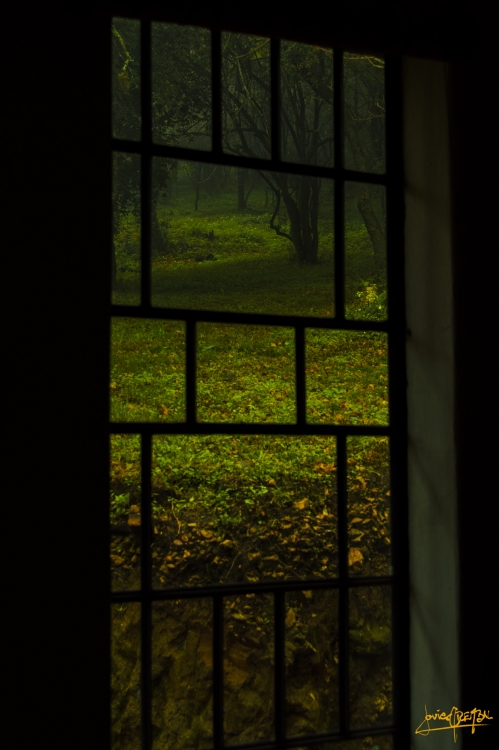 "He visto desde mi ventana . . ." de Javier Crembil