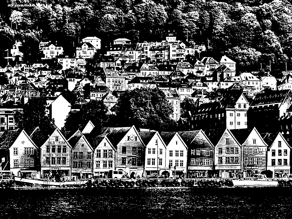"Bergen" de Armando Kazimierski
