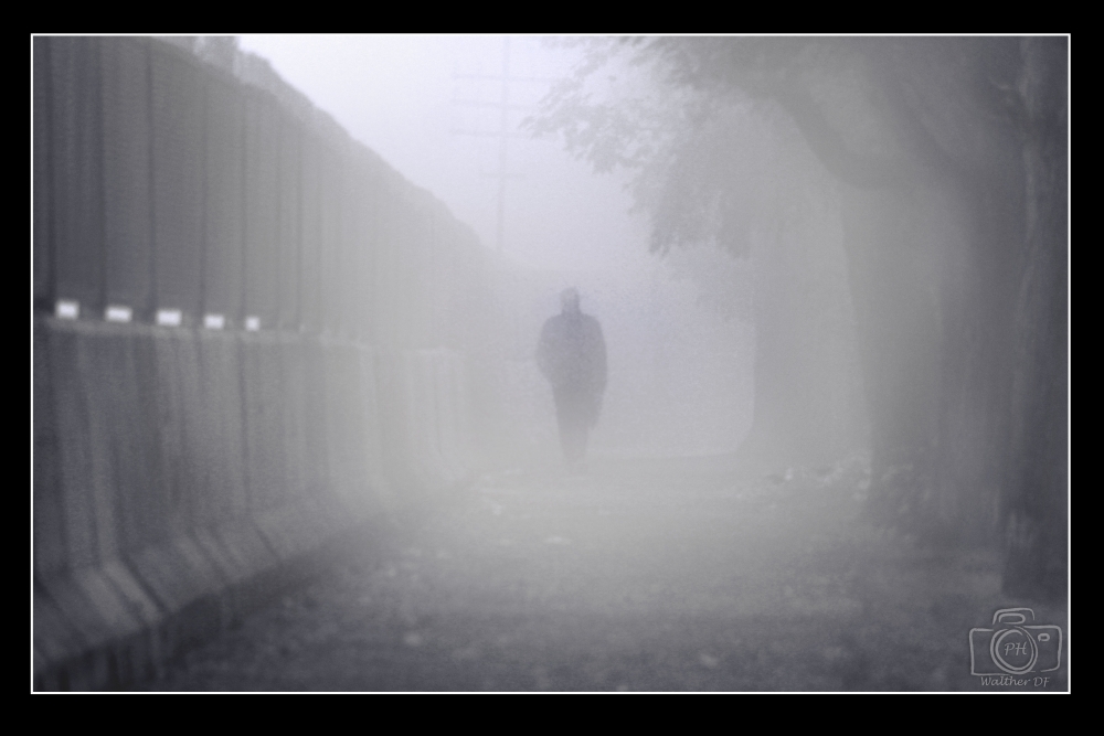 "Perdido en la Niebla!!" de Walther Fernandez