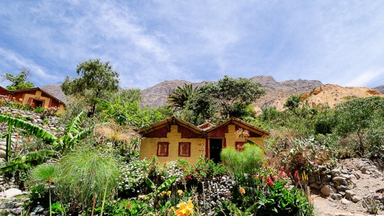 "Rincones del Per #240 Can del Colca" de David Roldn