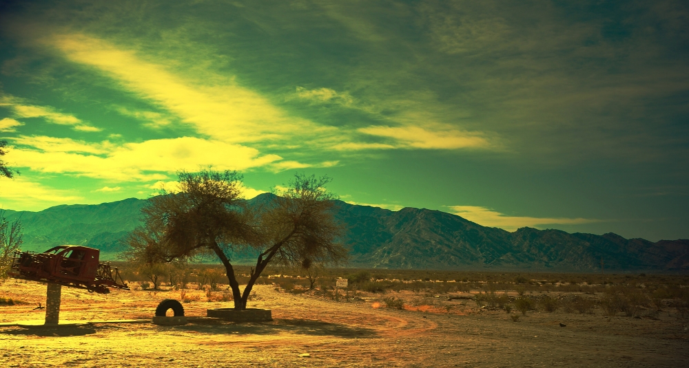 "Imgenes del desierto" de Mercedes Pasini