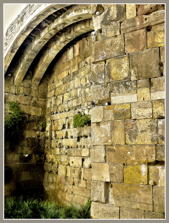 "Viejo muro de la ciudad" de Luis Fernando Somma (fernando)