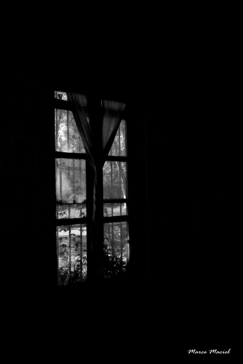 "La ventana..." de Marcela Maciel