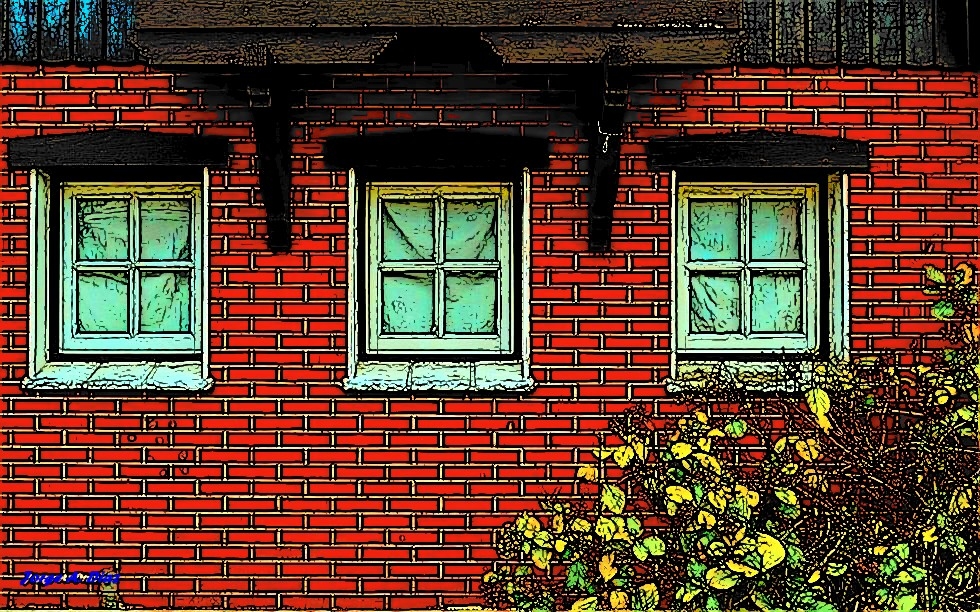 "3 ventanas" de Jorge Armando Diaz