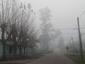 Niebla en el barrio en Villa Elisa