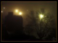 Noche Neblinosa!!