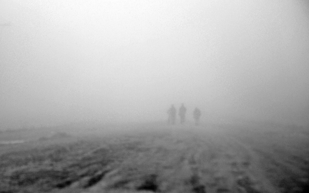 "En la densa niebla" de Silvana Garat