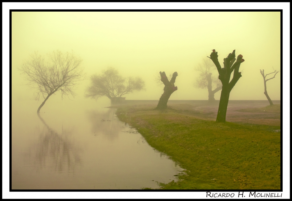 "Niebla amanecida" de Ricardo H. Molinelli