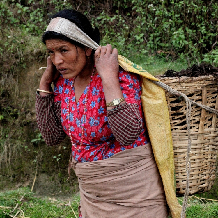 "Trabajadora rural nepalesa." de Francisco Luis Azpiroz Costa