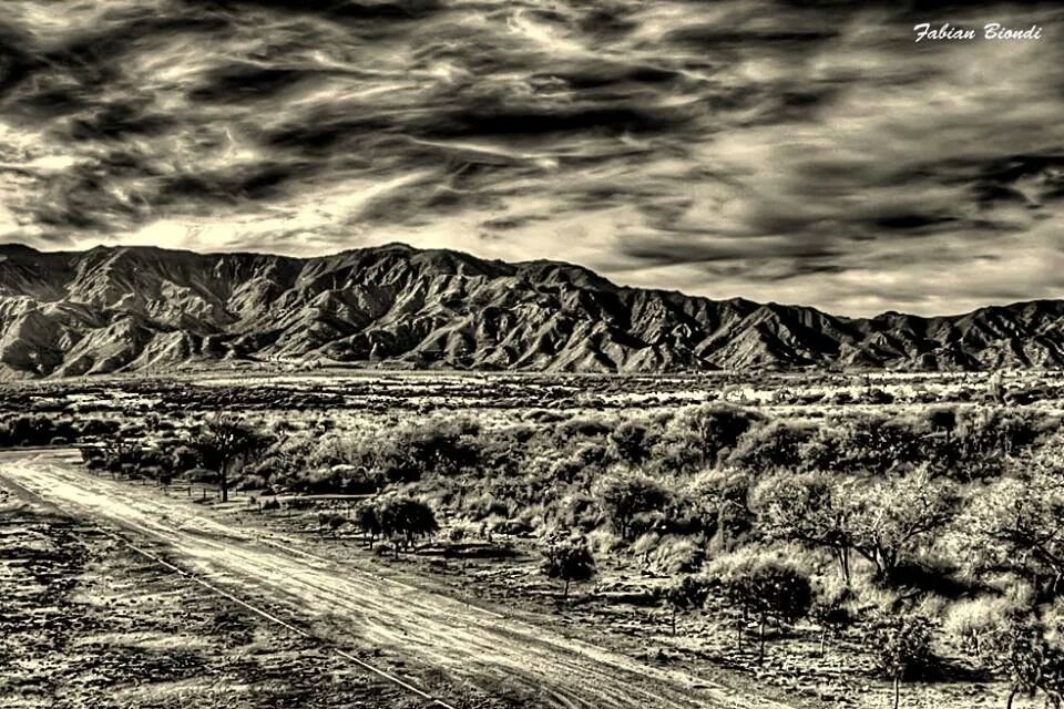 "En la quietud del desierto" de Fabian Biondi