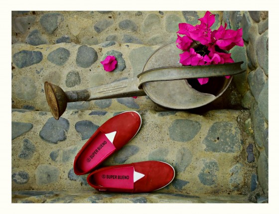 "La regadera y mis zapatos rojos" de Ana Maria Walter