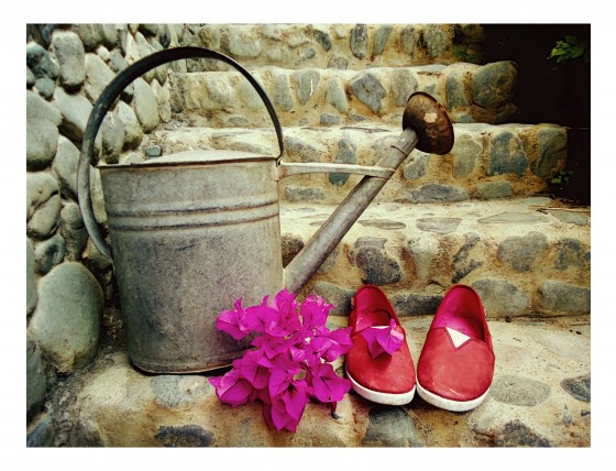 "La escalera,la regadera y mis zapatos rojos" de Ana Maria Walter