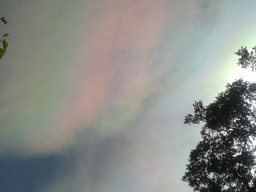"nubes de arco iris" de Fernanda Martinez