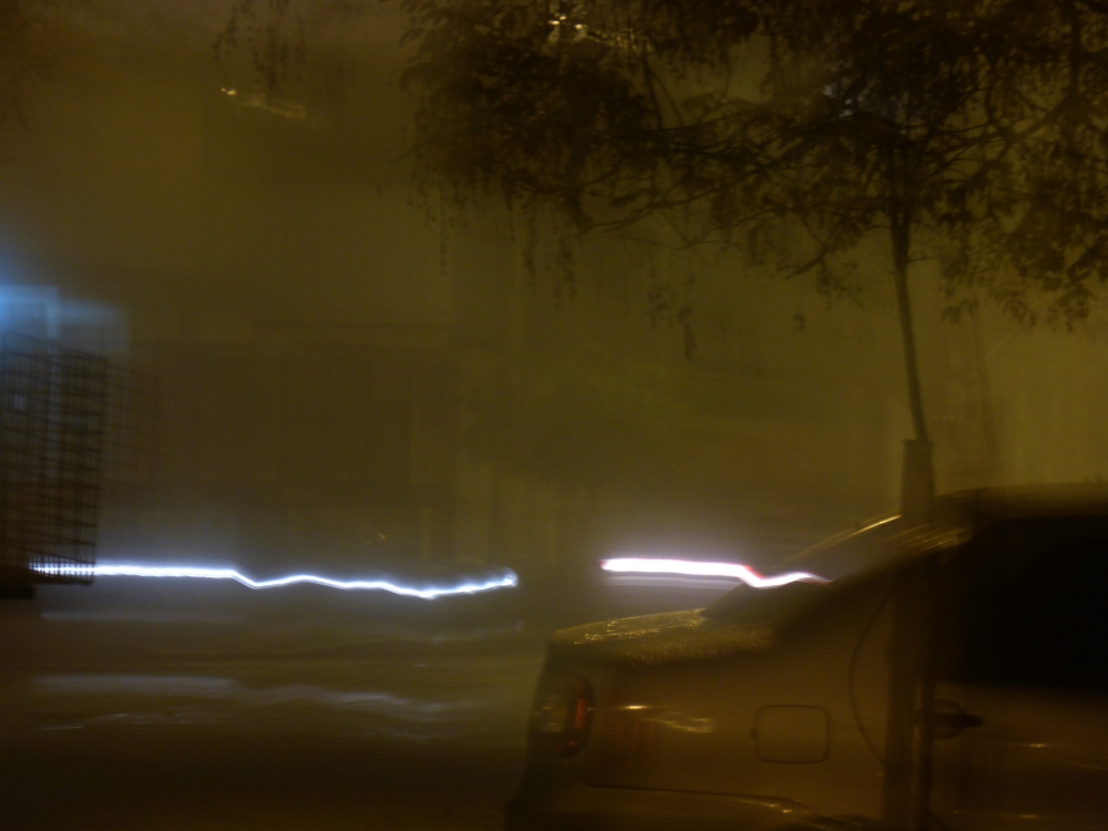 "Luces en la niebla" de Guillermo Rutman