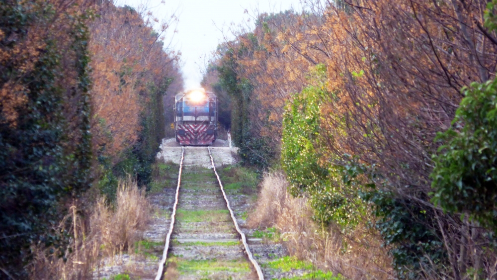 "El paso del tren !!!!" de Carlos Dichiara