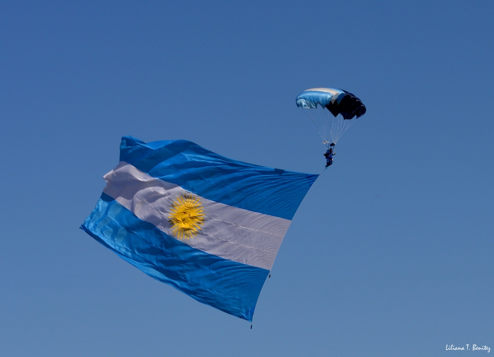 "Argentina Vuela!!!" de Liliana T. Benitez