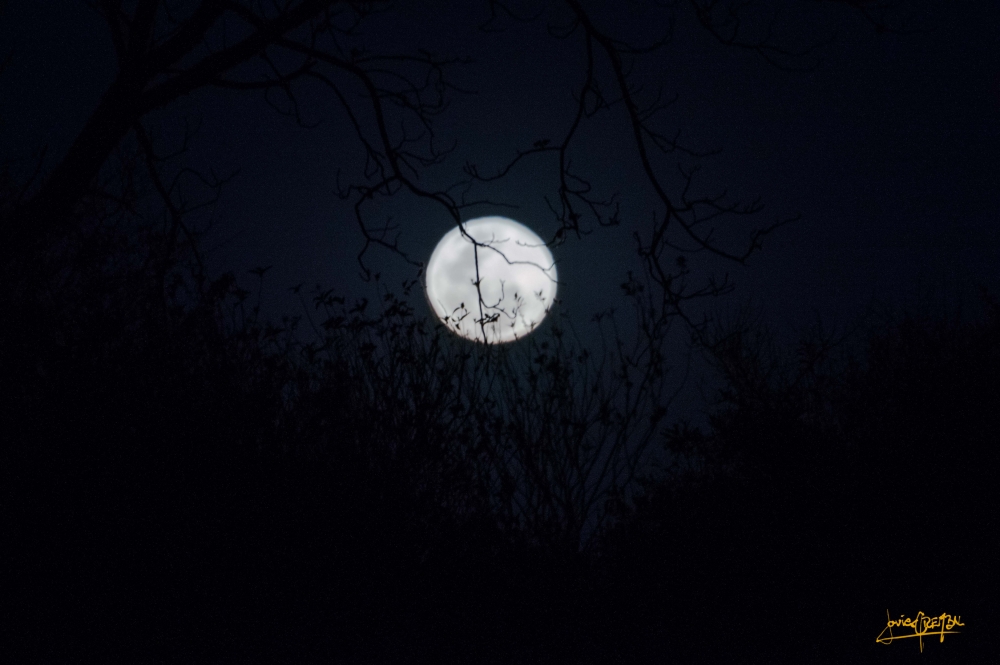 "la gran luna.. II" de Javier Crembil