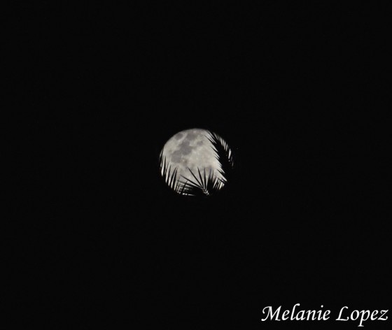 "Superluna desde Tigre" de Melanie Lopez