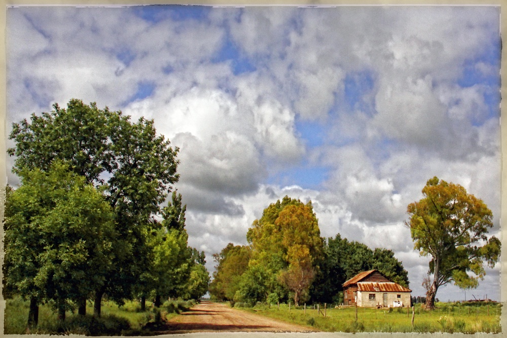 "Rural" de Eli - Elisabet Ferrari