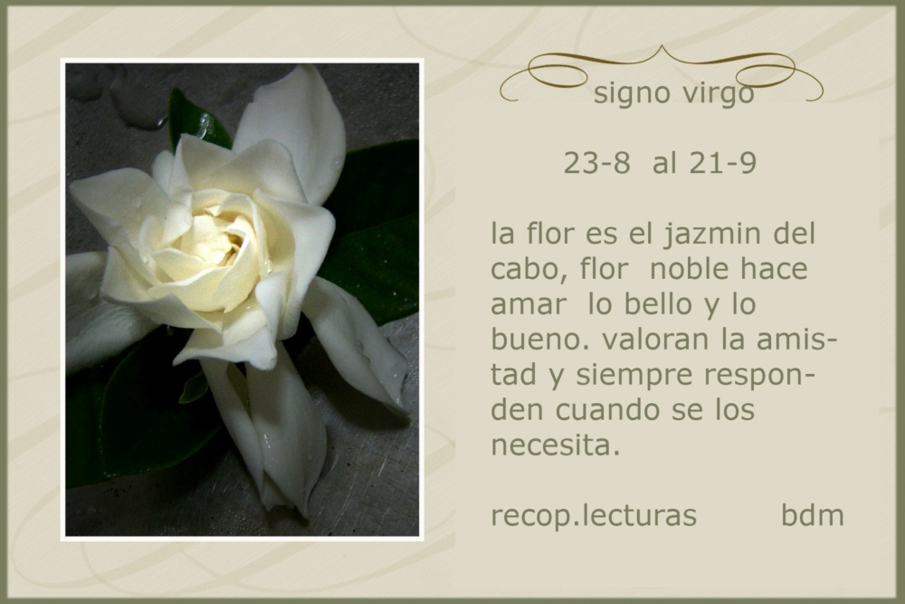 "signo virgo- 22-8 al 22-9" de Beatriz Di Marzio
