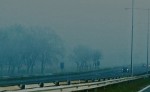 Niebla en la carretera