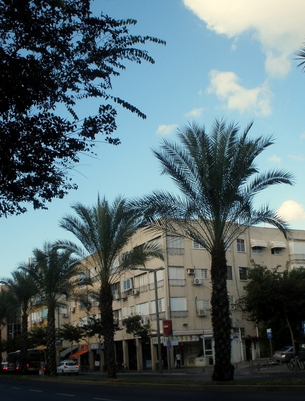 "atardecer en la Avda Ibn Gvirol en Tel Aviv- 3" de Tzvi Katz