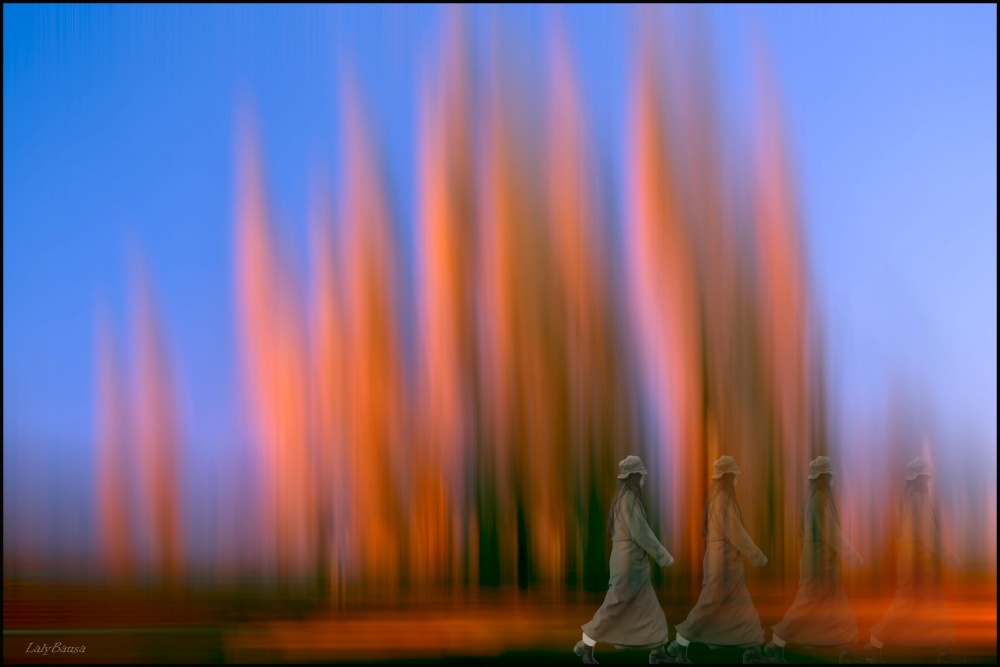 "Incendio forestal!" de Maria Laura Bausa