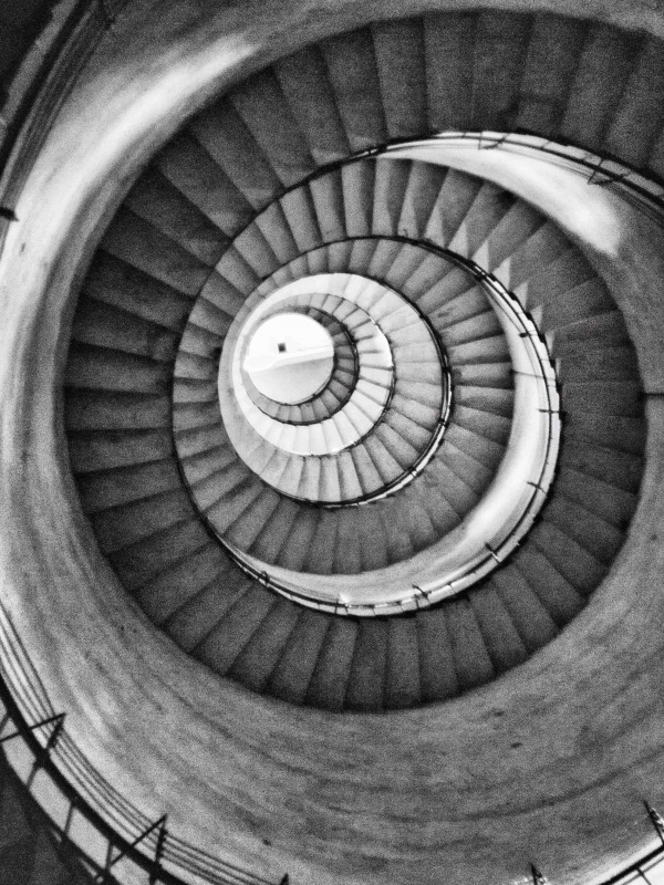 "La espiral ascendente" de Analia Coccolo