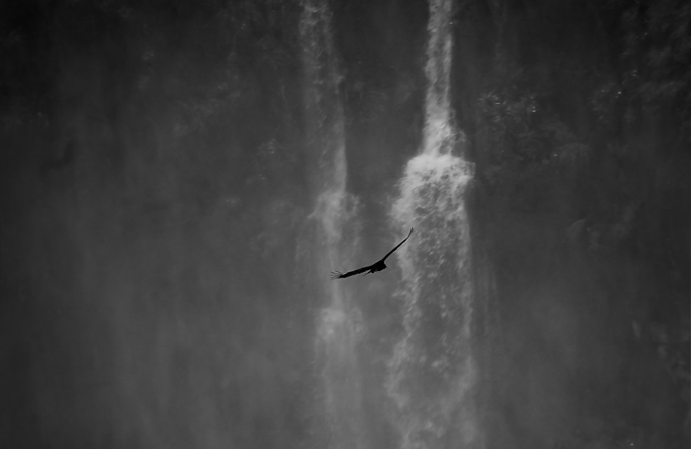 "hacia la cascada" de Noemi Gomez