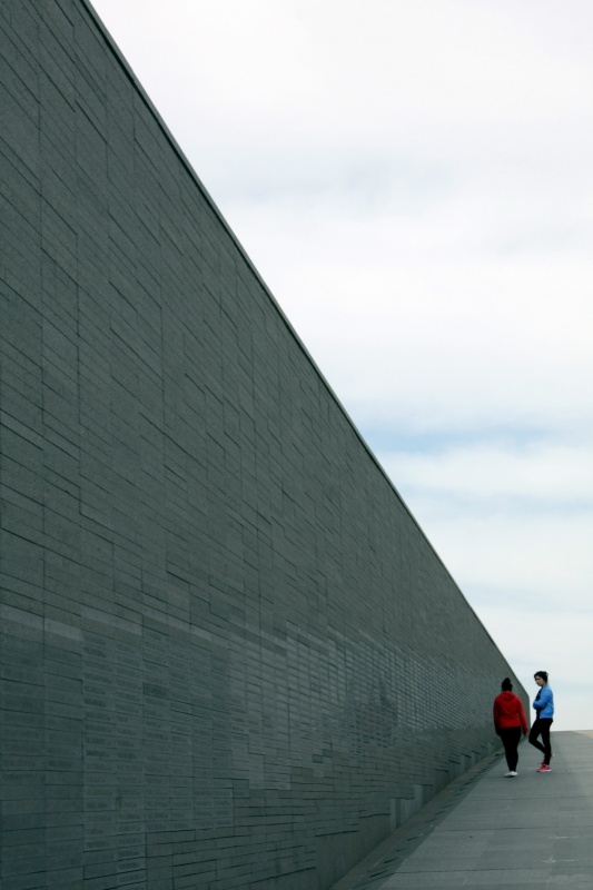 "Muro de la vergenza" de Hugo A. Hazaki