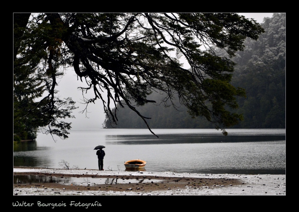 "Un da de lluvia a la orilla de un lago..." de Walter Bourgeois