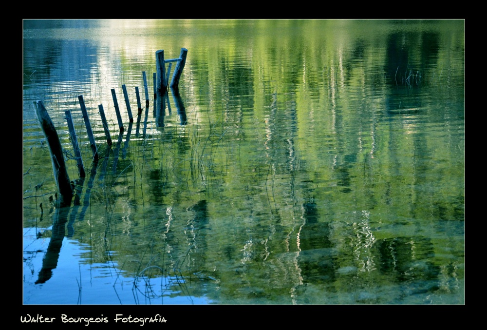 "Reflejos en el lago" de Walter Bourgeois