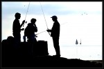 Dedicados a la pesca