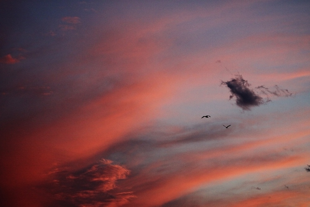 "Un cielo para volar juntos" de Eli - Elisabet Ferrari