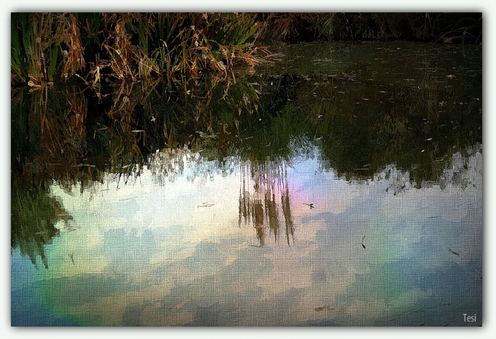 "Junto al estanque ." de Tesi Salado