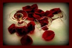 `Brindis y rosas`