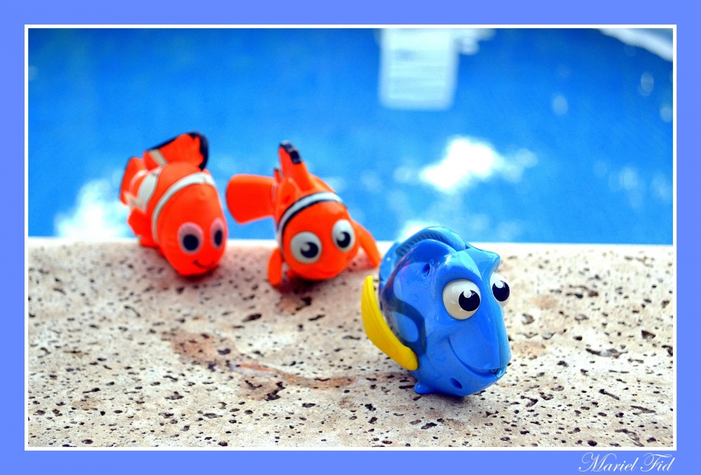 "Encontrando a Nemo..." de Mariel Fid