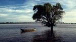 `...cuando la inundacin me llevaba la canoa...`