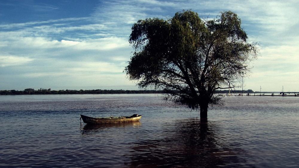 "`...cuando la inundacin me llevaba la canoa...`" de Alejandro Dri