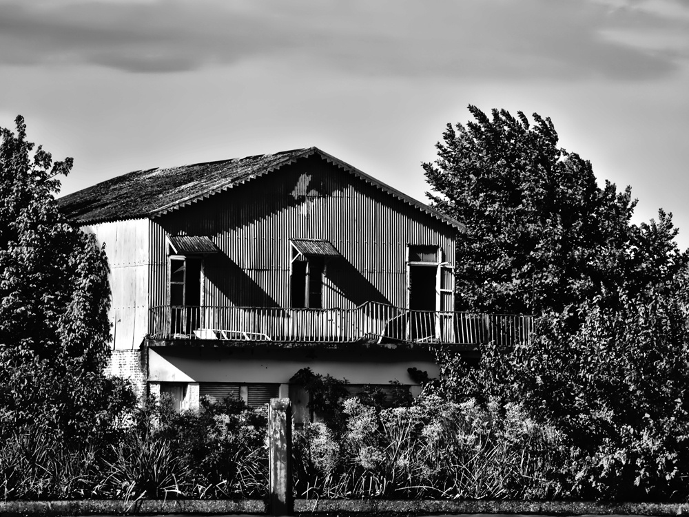 "La casa vieja..." de Liliana Rech