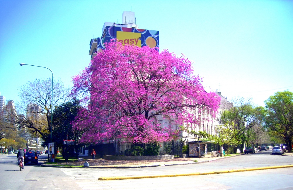 "Esquinas de Buenos Aires" de Jose Torino